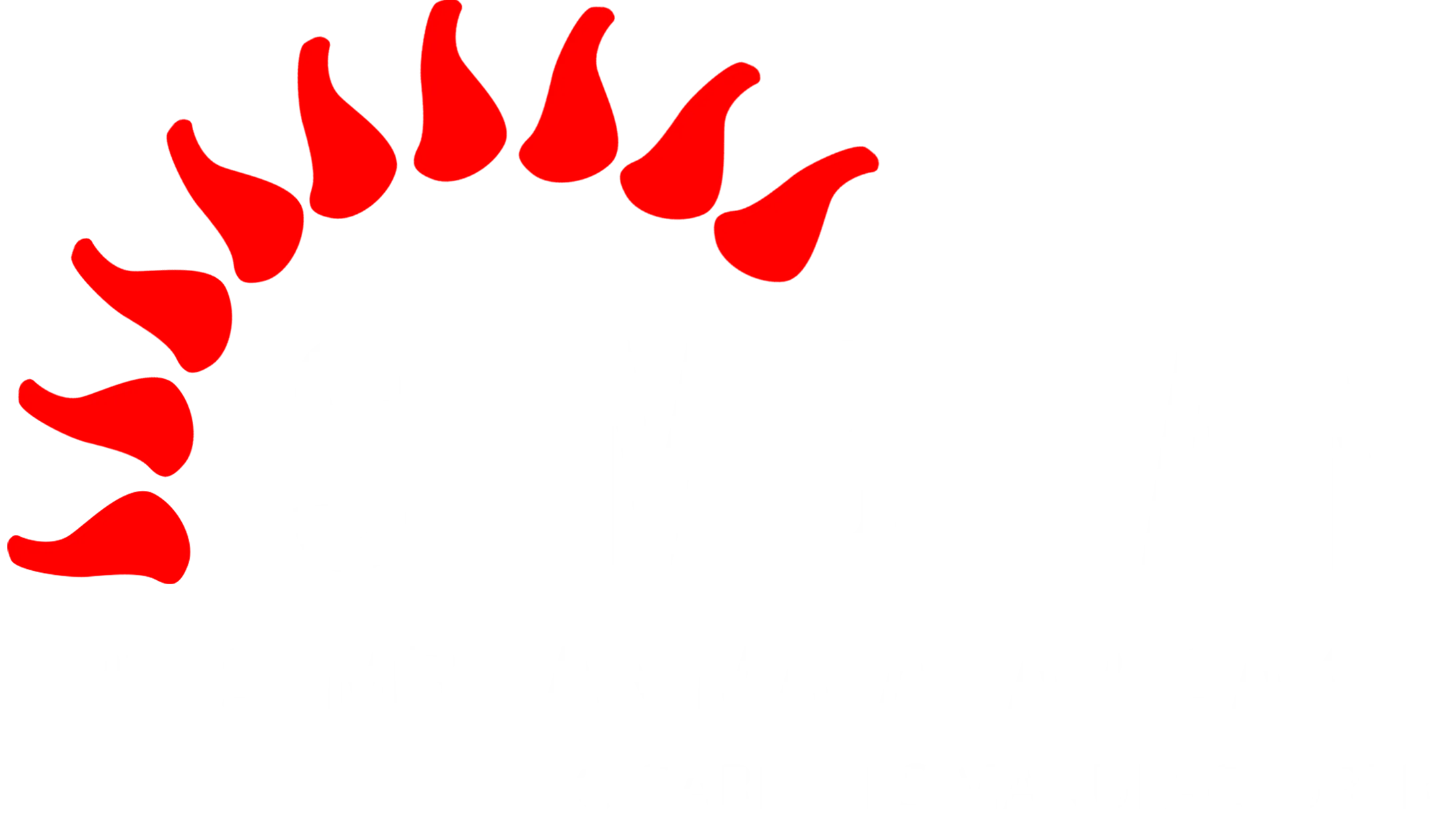 PT Sembilan Matahari Sakti